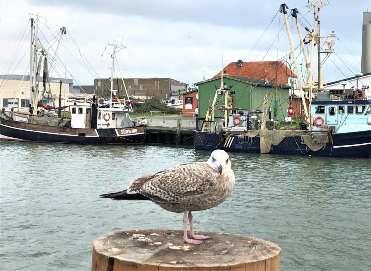 Kutterbude Buesum - Bude I Экстерьер фото